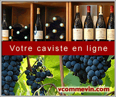 Vin de Champagne, vin et Champagne, vin Provence chez V comme Vin