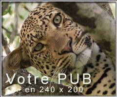 Régie PUB Luberon-news: Referencement zone LUBERON PROVENCE 